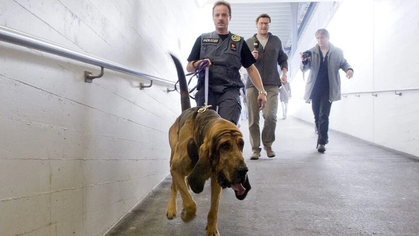 Ein Polizist sucht mit einem Polizeihund nach einem vermissten Mädchen.