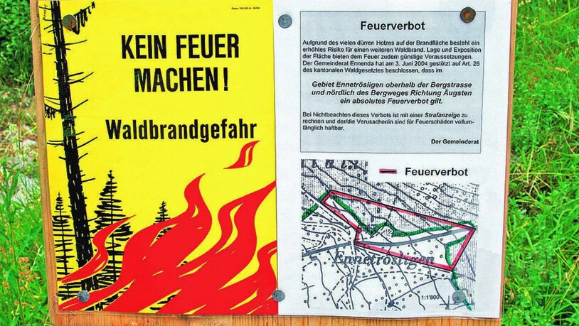 Der Kanton Graubünden investiert bis 2030 rund 20 Millionen Franken in die Waldbrandprävention.