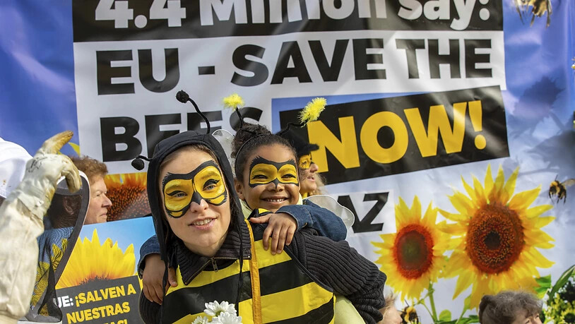 Freude bei Bienenfreunde in Brüssel: Die EU hat am Freitag ein Verbot von drei Insektiziden, so genannten Neonikotinoiden, beschlossen, die für Bienen als schädlich gelten.