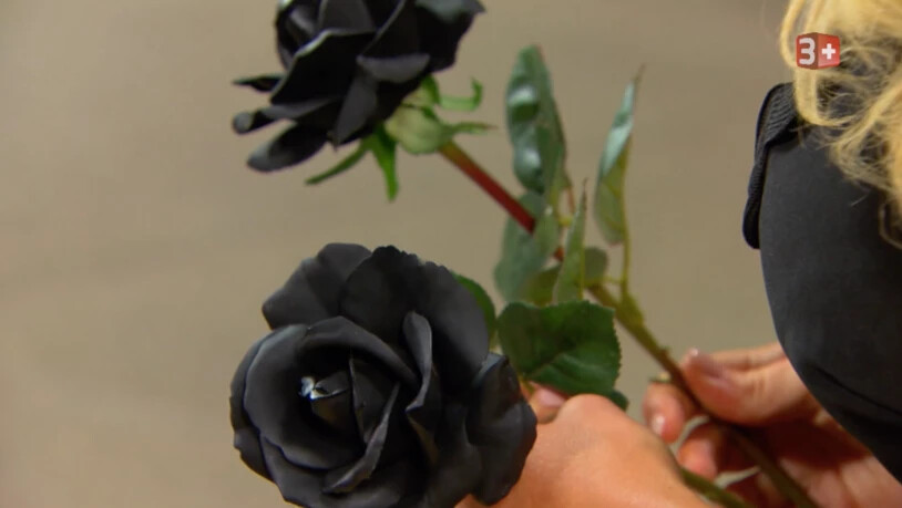 Die schwarzen Rosen symbolisieren eine letzte Chance, die Bachelorette von sich zu überzeugen.