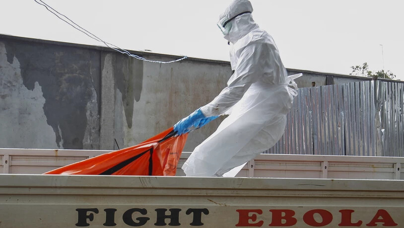 Das Ebola-Virus zählt zu den gefährlichsten Krankheitserregern der Welt. 25 bis 90 Prozent der Infizierten sterben. (Symbolbild)