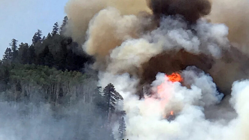 Heftige Waldbrände toben im US-Bundesstaat Colorado.