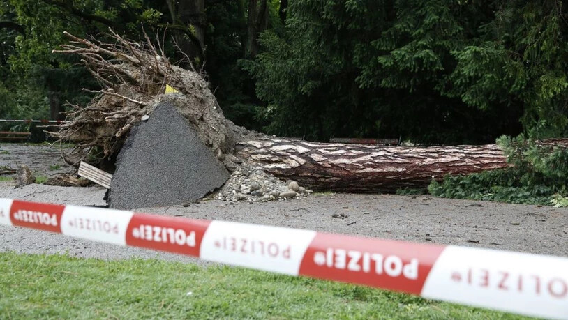 Das Unwetter war so stark, dass es im Grazer Stadtpark ein Baum entwurzelt wurde. Dabei kam ein Mann ums Leben.