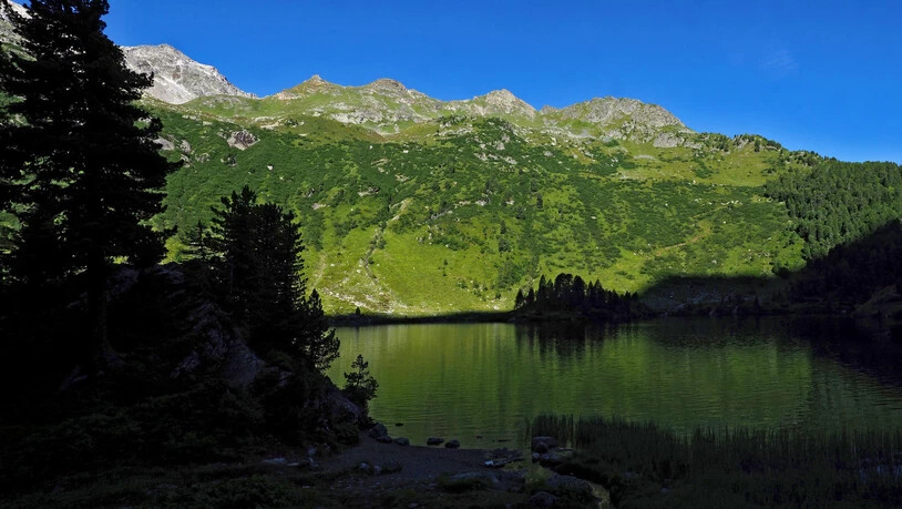 Der sonst so blaue Cavloccio See, hat sich dem Grün der Umwelt angepasst.