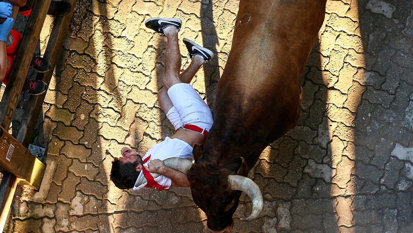 Einer der gehetzten Bullen bei der Stierhatz im spanischen Pamplona schleift einen Läufer an dessen Halstuch mit sich.