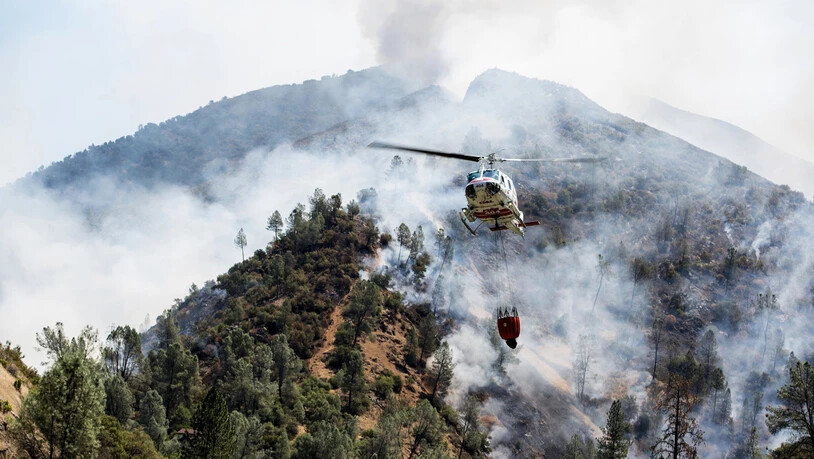 Ein Feuerwehrmann ist beim Bekämpfen eines Waldbrandes in Kalifornien ums Leben gekommen. (Themenbild)