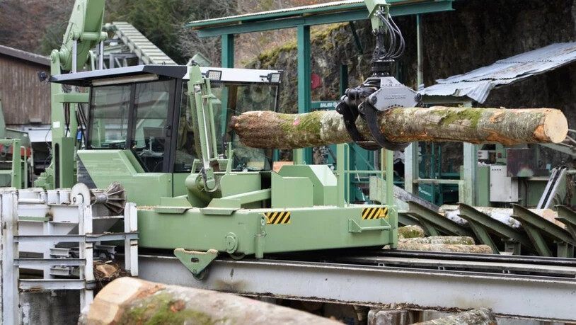 Rund 50 Prozent der Erntemenge wird in der Schweiz als Stammholz in die Sägereien geliefert und zu Bauholz oder Möbeln verarbeitet. (Archivbild)