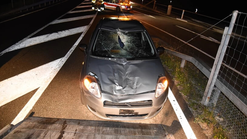 Glück im Unglück hatten die beiden Autoinsassen nach einer Frontalkollision mit einem Hirsch.