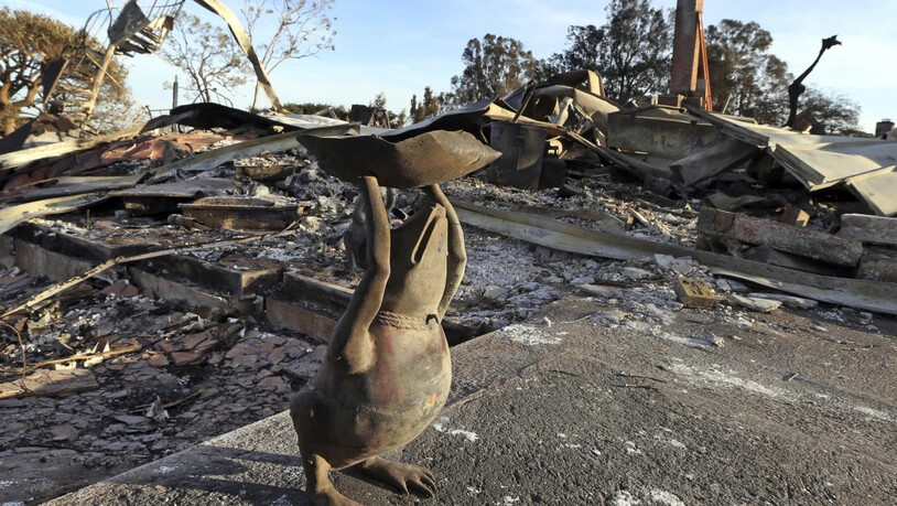 Ein Frosch aus Metall vor der Ruine eines verbrannten Hauses in Malibu. Bei den Bränden sind mindestens 50 Menschen ums Leben gekommen. (Foto: Reed Saxon/AP)