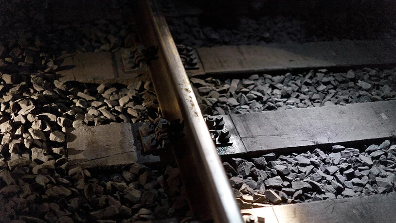 Wegen eines Gleisschadens kam es auf der Bahnstrecke zwischen Zürich HB und Thalwil am Freitag zu Einschränkungen. (Symbolbild)