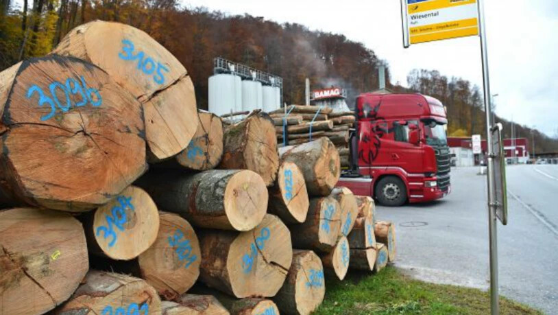 Für das viele Totholz gibt es kaum mehr Abnehmer, der Holzmarkt ist zusammengebrochen.