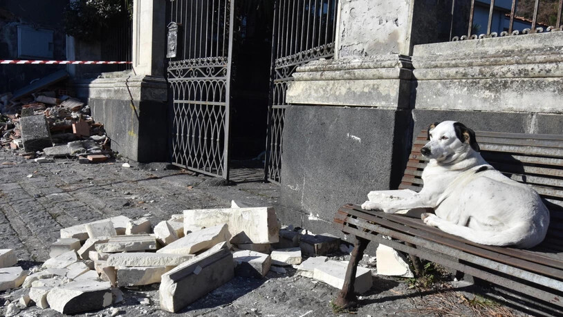 Schäden nach Erdbeben auf Sizilien: Ein Hund geniesst die Sonne zwischen von einer Fassade abgebrochenen Trümmern.