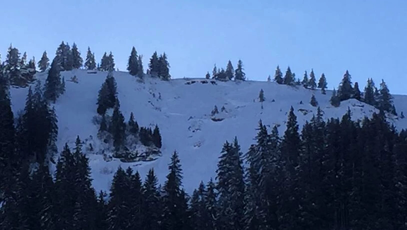 Im Bereich Crappawald im Skigebiet Flumserberg löste sich eine Lawine. 