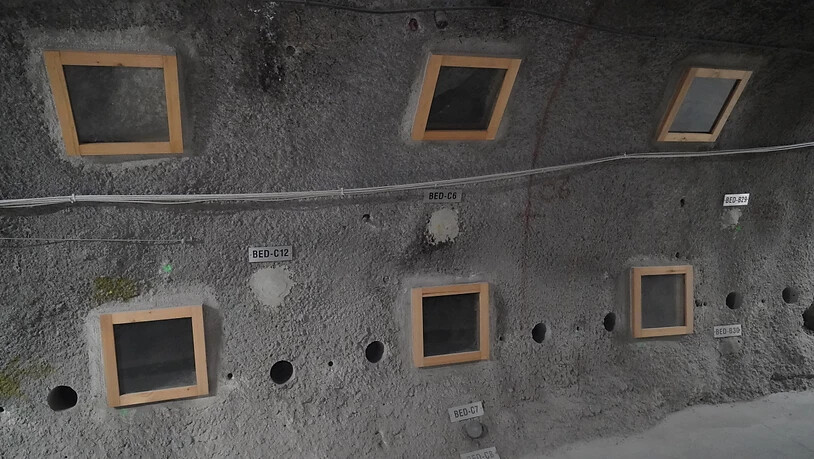 Blick in das Felslabor Mont Terri bei St. Ursanne: Forschende untersuchen dort die Option, CO2 im Untergrund zu speichern. Dort wird in einem Bohrloch mit CO2 gesättigtem Salzwasser untersucht, wie sich das gelagerte CO2 im Fels verhält und was die…