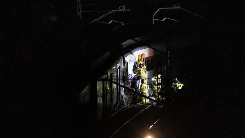 Bei einem neuen Zugunglück in der Nähe von Barcelona ist am Freitag die Fahrerin einer S-Bahn ums Leben gekommen.