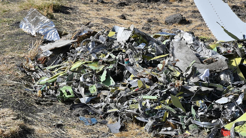 Nach dem Absturz einer Boeing 737 Max 8 der Ethiopian Airlines haben nach zahlreichen anderen Ländern nun auch die USA ein Flugverbot für den betroffenen Flugzeugtyp erlassen. Beim Absturz vom vergangenen Sonntag waren 149 Passagiere und acht…