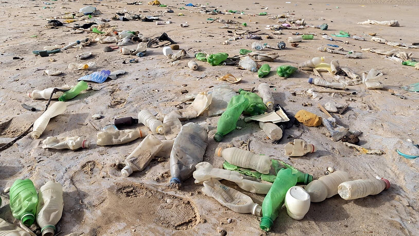 Plastik an einem Strand in Afrika: Für Meerestiere werden die Abfälle zur Todesfalle. (Archivbild)