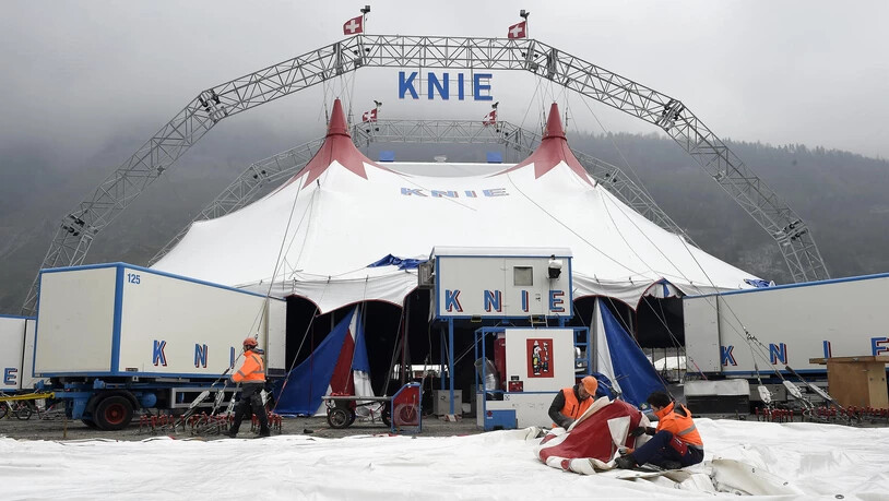 Angekommen: Der Circus Knie ist in Chur angekommen und hat sein Zelt auf der Oberen Au aufgeschlagen.