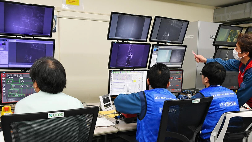 Der Betreiber der Atomruine im japanischen Fukushima hat mit der Entfernung von Kernbrennstoffresten begonnen.