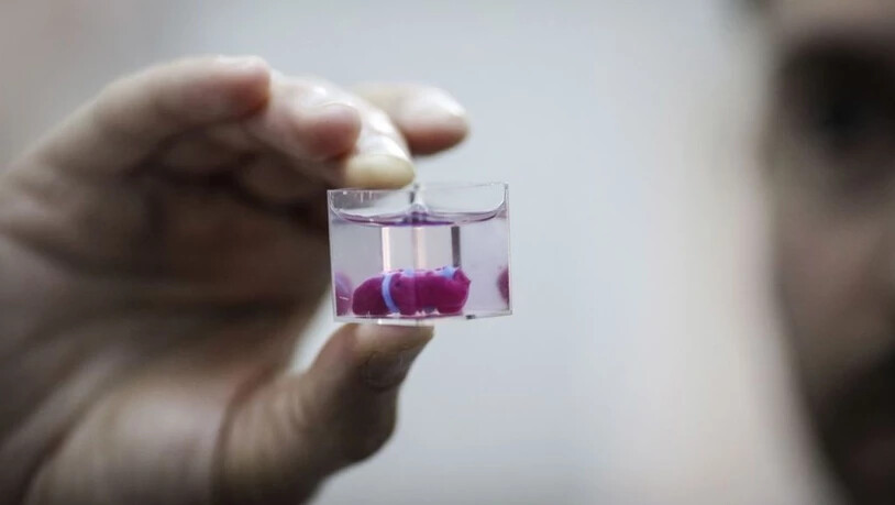 Ein Herzchen aus menschlichem Gewebe, mit Kammern und Blutgefässen, haben israelische Forscher mit einem 3D-Drucker geschaffen. Sie hoffen, in zehn Jahren das erste ausgewachsene Exemplar einem Menschen zu implantieren.