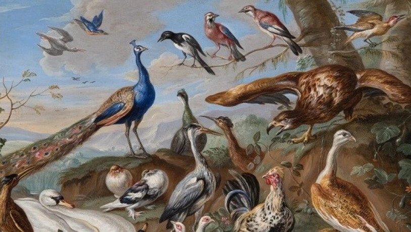 Das "Altmeisterwunder" des Kunstmuseums St. Gallen erhält Zuwachs. Das Museum hat rund 1500 Werke aus einer privaten Sammlung erhalten, darunter auch das Gemälde "Vögel in Landschaft" von Jan von Kessel.