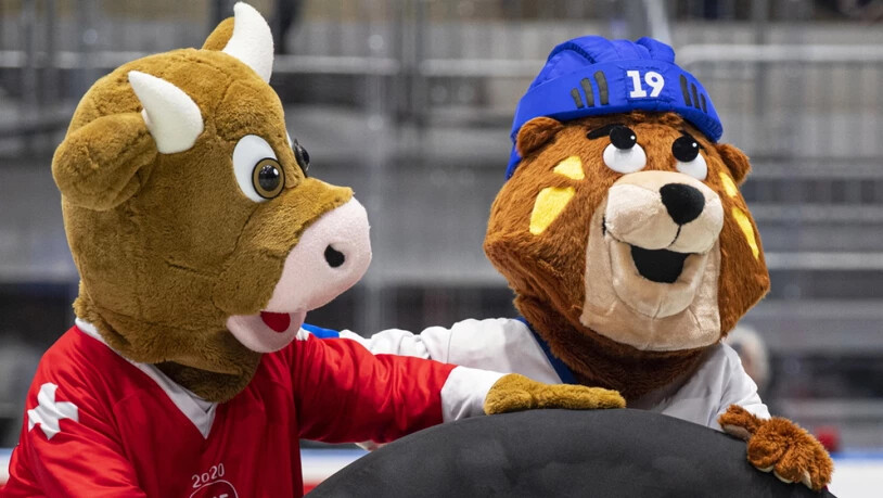 Von Macejko zu Cooly: Im nächsten Jahr findet die Eishockey-WM in der Schweiz statt