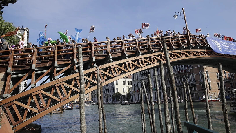 Die Bürgerbewegung "Comitato No Grandi Navi" wehrt sich gegen die "Meeresmonster" in Venedig.