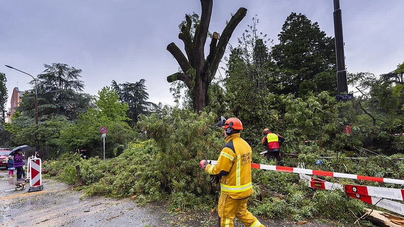 "Baumpflege" nach dem Gewittersturm vom Samstagnachmittag in Genf.