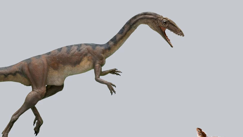 Der Raubdinosaurier Notatesseraeraptor mit seiner Beute, dem kleinen Pflanzenfresser Clevosaurus. (Illustration)