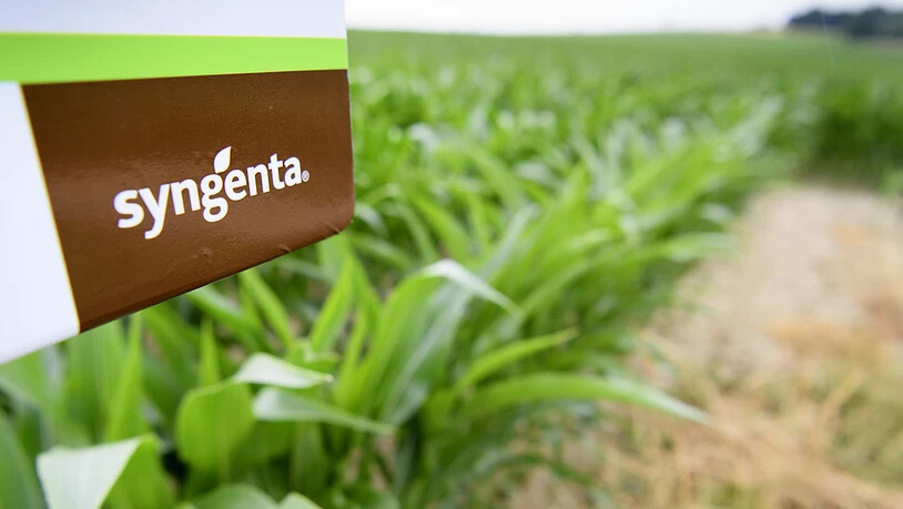 Der Agrokonzern Syngenta hat im ersten Semester unter schwierigen Wetterbedingungen und seinen hohen Schulden gelitten. (Archivbild)