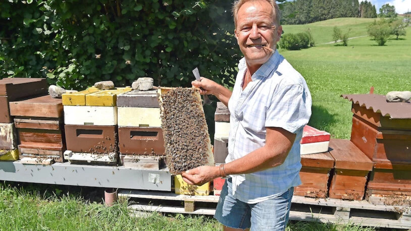 Flotte Bienen: Zehntausende dieser Insekten umschwirren Imker Werner Schrepfer, aber keine sticht ihn oder den Fotografen. Bild: Markus Timo Rüegg