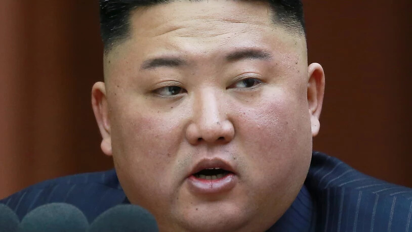 Schafft es, im Fokus der Weltmedien zu bleiben - und die Aufmerksamkeit der USA beziehungsweise von deren Präsident Trump zu binden: der nordkoreanische Despot Kim Jong Un. Welche von beiden Verhandlungsseiten im Atompoker es wirklich ernst meint…