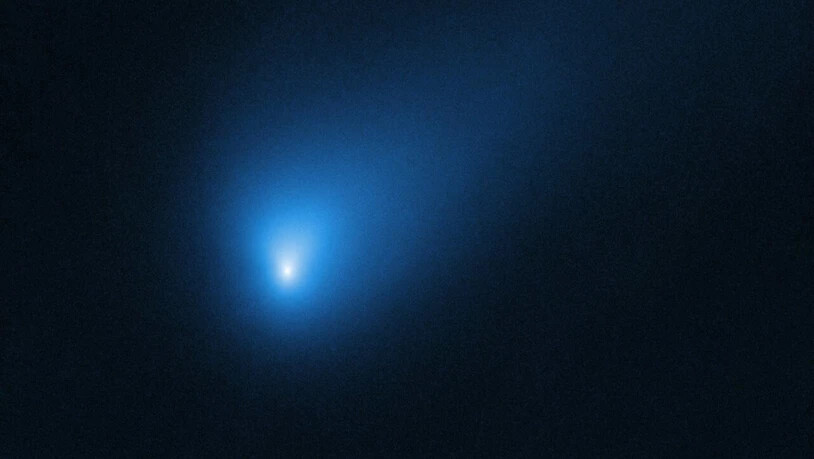 Als das Hubble-Weltraumteleskop am 12. Oktober diese Aufnahme schoss, war der interstellare Komet 2I/Borisov etwa 420 Millionen Kilometer von der Erde entfernt.