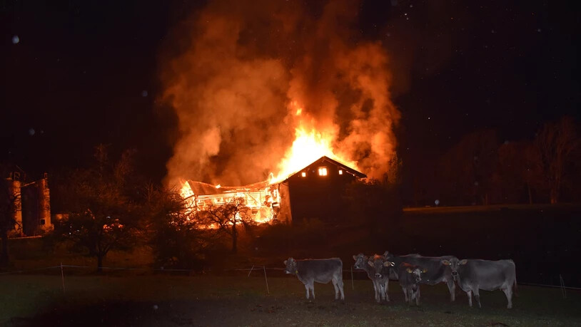 Die Bewohner des Hauses blieben unverletzt. Drei Kälber überlebten den Brand nicht.
