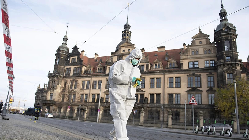 Eine Sonderkommission namens "Epaulette" fahndet in Dresden mit Hochdruck nach den Tätern.