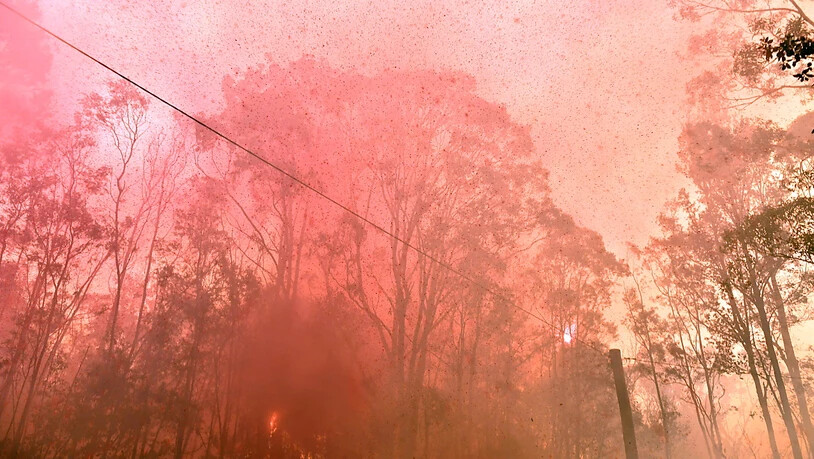 Buschfeuer am Freitag in Werombi, 50 Kilometer südlich von Sydney.