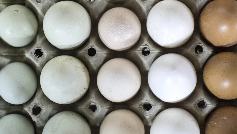 Neuer Eierrekord: 2019 dürften Hühner in Schweizer Ställen erstmals über eine Milliarde davon gelegt haben. (Themenbild)