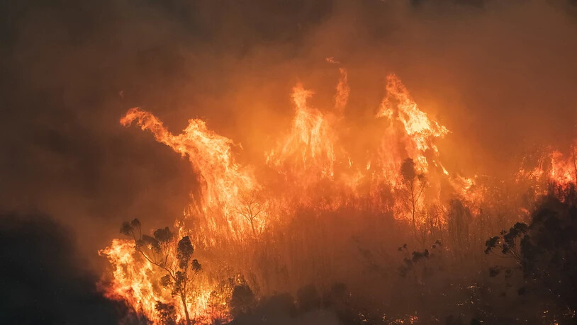 Die Buschbrände in Australien wüten schier unermüdlich.