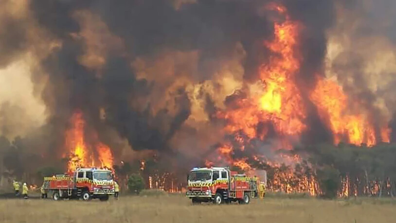 Die Angehörigen der Feuerwehren in Australien versuchen, Menschen und ihr Hab und Gut vor den Flammen zu retten.