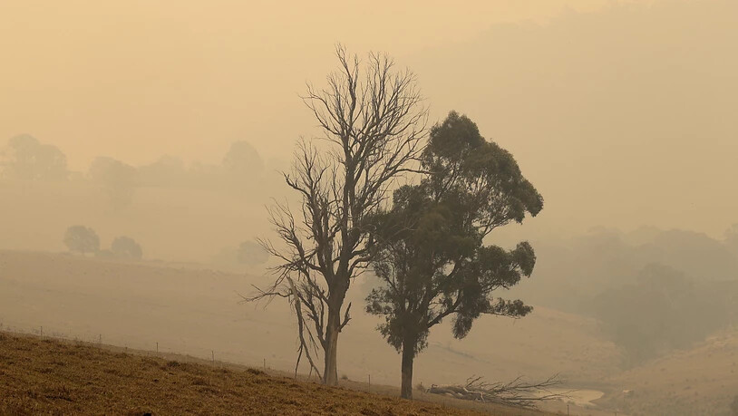 Regen und Gewitter haben zahlreiche Feuer an der Ostküste Australiens verlöschen lassen. Noch immer verdunkeln jedoch grosse Dunstschwaden den Himmel. (Archivbild)