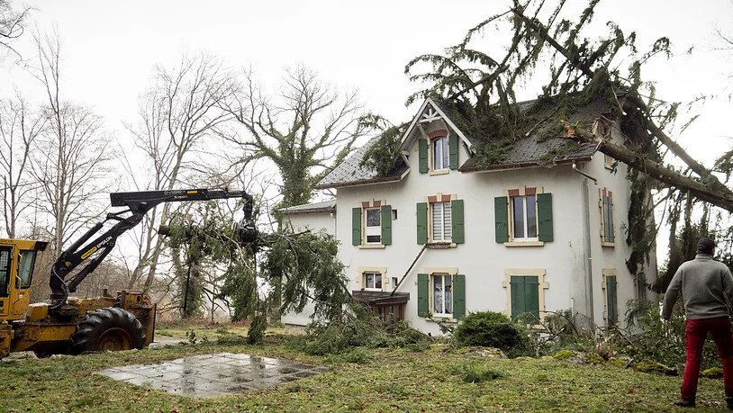 In Montmollin, Val-de-Ruz NE, ist ein Baum auf ein Haus gestürzt.