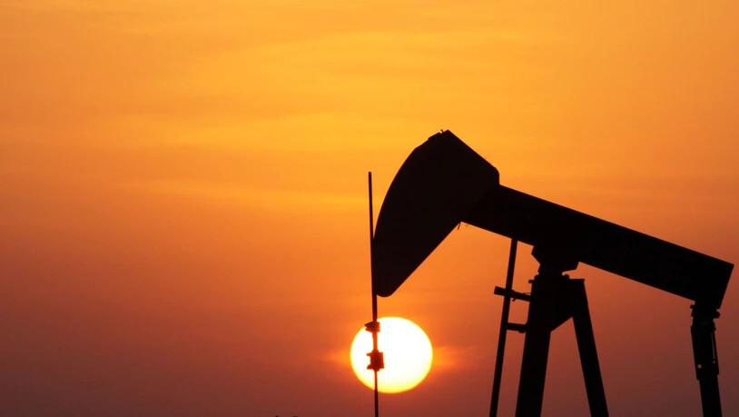 Die zur Gruppe Opec+ gehörenden Öl exportierenden Länder haben sich darauf geeinigt, die Fördermenge zu drosseln, um den Preiszerfall für Rohöl zu bremsen. (Archivbild)