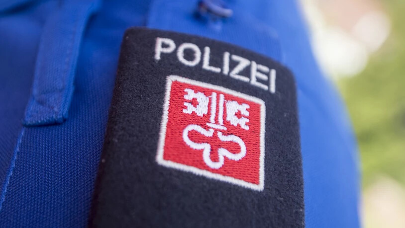 Der Alpinen-Einsatz-Gruppe der Nidwaldner Kantonspolizei gelang eine tierische Rettung. (Symbolbild)