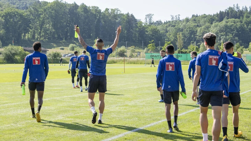 Auch die Spieler des FC Luzern freuten sich, wieder als Mannschaft zu trainieren