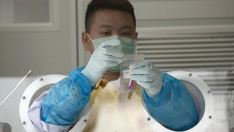 Ein Mitarbeiter des Gesundheitswesens verschließt die Probe eines Nasenabstrichs, den er zuvor einer Patientin, die einen Corona-Test hat durchführen lassen, entnommen hat. Foto: Sakchai Lalit/AP/dpa