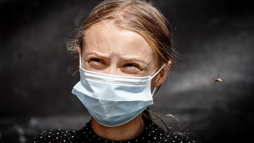 dpatopbilder - Eine Wespe nähert sich der Klimaaktivistin Greta Thunberg während einer Pressekonferenz. Zuvor wurde Thunberg zusammen mit weiteren Klimaaktivitinnen von Fridays for Future von der Bundeskanzlerin zu einem Gespräch empfangen. Foto: Kay…