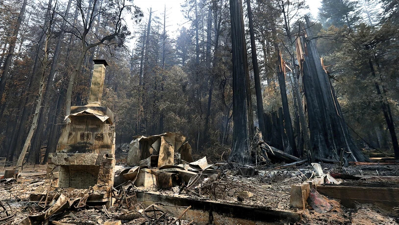 Die Feuerstelle des "Nature Lodge Museum and Store" im "Big Basin Redwoods State Park" steht umgeben von Verwüstungen durch die verheerenden Waldbrände. Foto: Shmuel Thler/The Santa Cruz Sentinel/AP/dpa