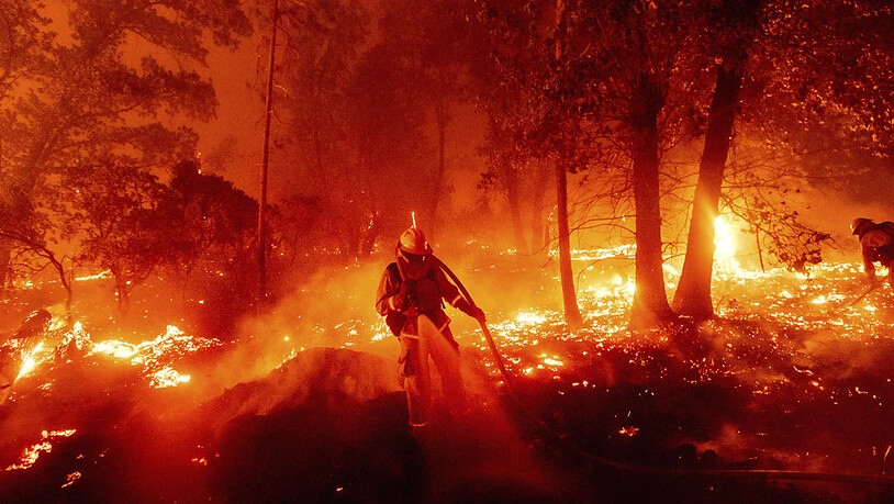 Ein Feuerwehrmann kämpft gegen ein Feuer im Mariposa County. Foto: Noah Berger/AP/dpa