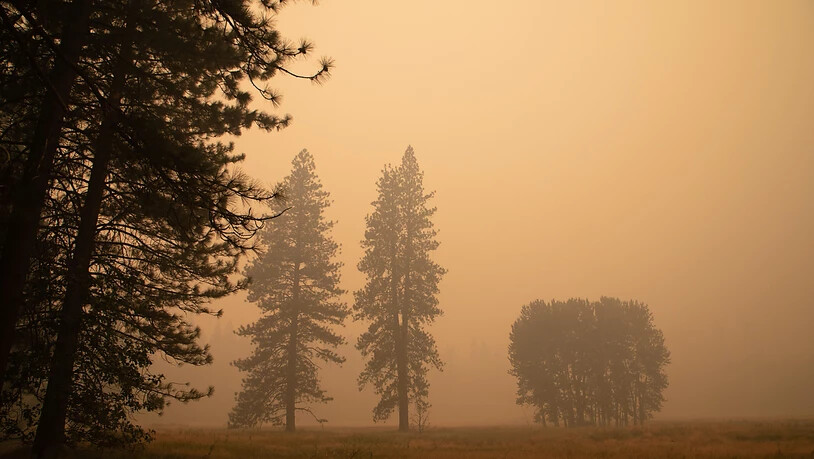 Dichter Rauch zieht über das Yosemite Valley. Der Nationalpark wurde vorübergehend aufgrund der schlechten Luftqualität geschlossen. Foto: Chuck Bennett/AP/dpa - ACHTUNG: Nur zur redaktionellen Verwendung im Zusammenhang mit der aktuellen…