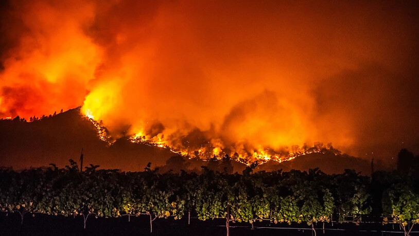 Von den bewaldeten Hügeln in der Nähe von Calistoga nahe von Weinreben schlagen Flammen des "Glass"-Feuers empor. Foto: Imagespace/ZUMA Wire/dpa